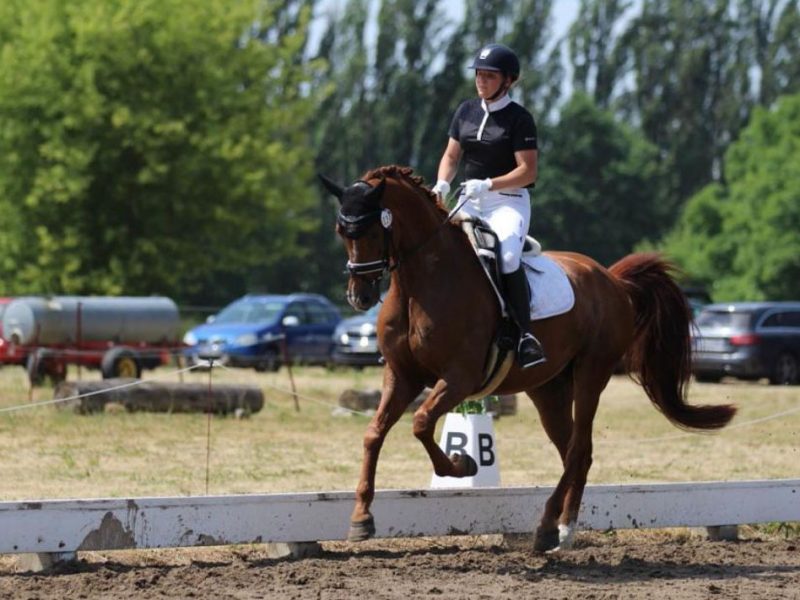 Anka Dethof auf einem der Sportpferde des Gestüts Lindenhof in Malsfeld